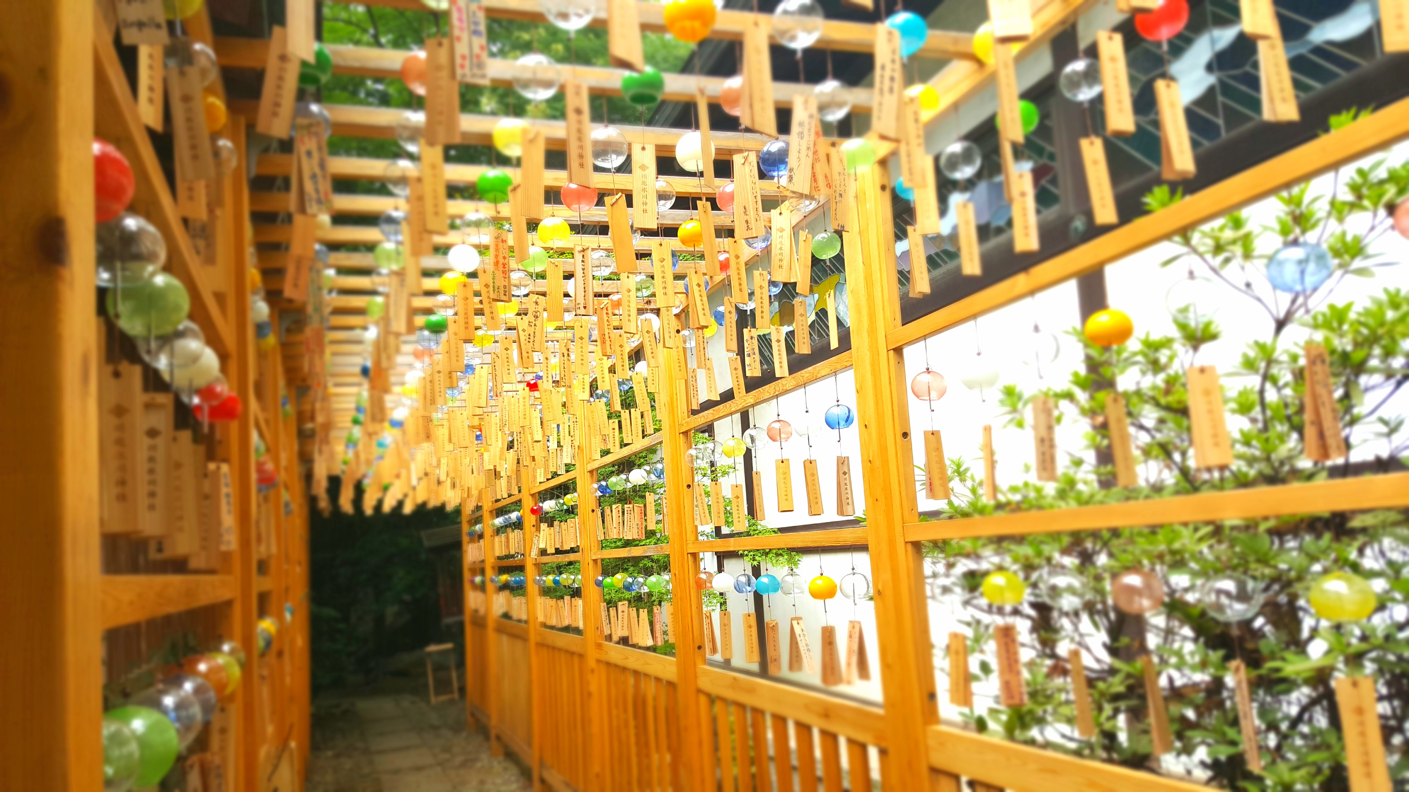 風鈴　氷川神社